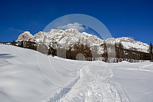 Skiing off piste on fresh snow