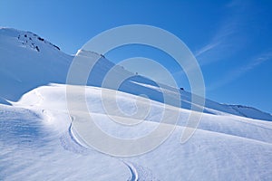 Skiing in perfect powder snow