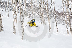 Skiing powder through aspen trees of Mount Niseko, Japan backcountry