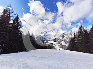 A skiing slope with a forest