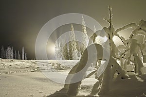 Skiing slope at night