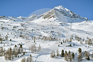 Skiing slopes in Diavolezza skiing resort close to St. Mortiz