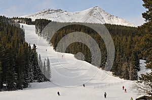 Skiing slopes in Kananaskis country, alberta, Canada