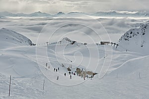 Skiing slopes from the top