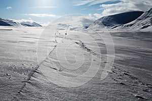Skiing track on the Kungsleden