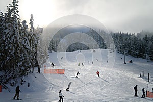 Skiing at Whistler