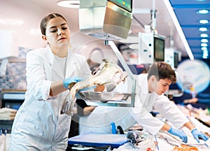 Skilful shop assistant weighing cod fish on scales in fish store