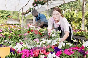 Skilled florists working with flowers