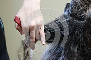 skilled Hands of a hairdresser cutting the curly wavy hair of a customer with hand scissors and a comb