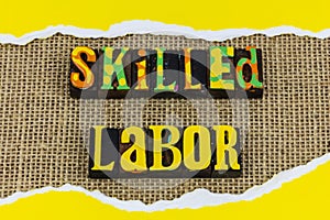 Skilled labor salary highly trained professional employee