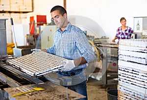 Skilled man taking out trays with earth and seeds from automatic filling and seeding line for growing containerized