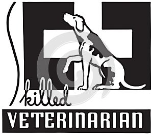 Skilled Veterinarian