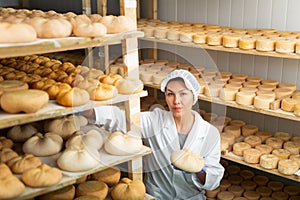 Skilled woman controlling maturing process of cheese wheels