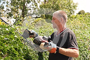 Skilled workman cutting hedges photo