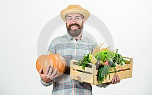 Skillful farm worker presenting his work. man with rich autumn crop. bearded mature farmer. organic natural food. happy