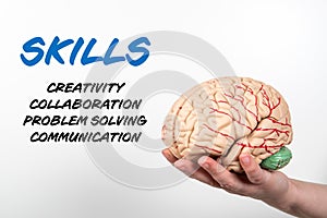 Skills. Creativity, Collaboration, Problem Solving and Communication concept. Brain model in a woman& x27;s hand