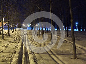 Skimarks in the night park.