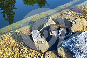 Skimmer filtering water in natural swimming pool, biologicaly filtering pond
