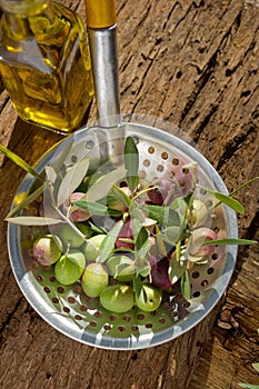 Skimmer with olive photo