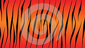 skin abstrack tiger pattern vector illustration