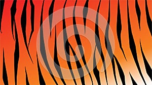 skin abstrack tiger pattern vector illustration