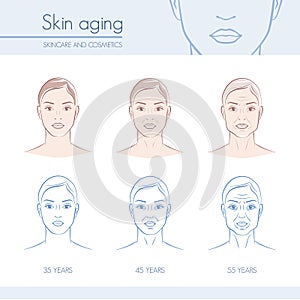 Skin aging