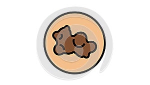 skin cancer color icon animation