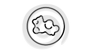 skin cancer line icon animation