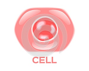 Skin cell