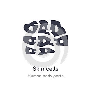 skin cells outline icon. isolated line vector illustration from human body parts collection. editable thin stroke skin cells icon
