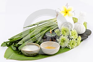 Skin with cilantro (Eryngium foetidum L.), Yolk Eggs and yogurt.