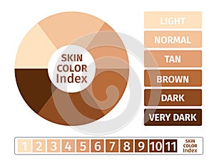 Skin color index , infographic . 3 chart of skin