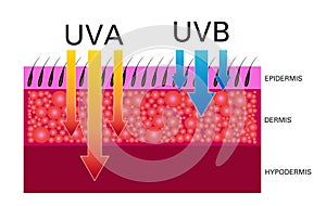 Skin compare , Protect both UVA and UVB.