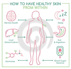Skin health horizontal poster. Useful medical infographic.