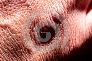 skin of human hand with pores and small visible hairs