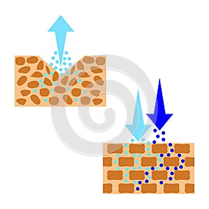 Skin hydration sectional view.