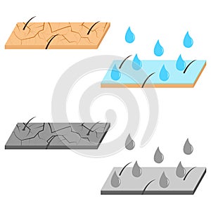 Skin hydration sectional view.