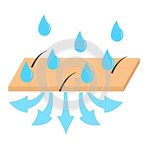 Skin hydration sectional view.