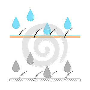Skin hydration sectional view.