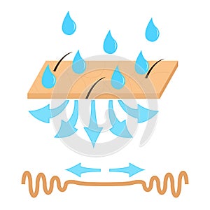 Skin hydration and wrinkle.