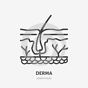 Skin layer flat line icon. Vector thin pictogram of human epidermis, outline illustration for dermatology clinic photo