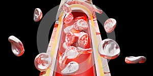 Skin layer red blood cells vein vascular surgery 3d illustration