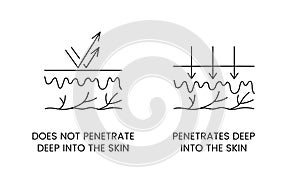 Skin layers line icon in vector, illustration does not penetrate deep into the skin, penetrates deep into the skin.