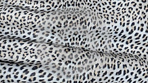 Skin of a leopard in motion.