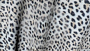 Skin of a leopard in motion.