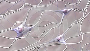 Fibroblasts, collagen, and elastic fibers 3d rendered illustration photo