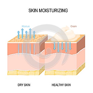 Skin moisturizing. Dry and healthy skin with cream, foam or lotion