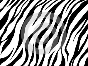 Skin zebra