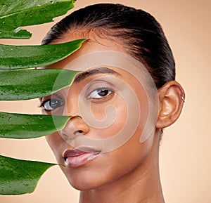 Skincare, beauty and indian woman with portrait with plant or natural glow in studio background for wellness