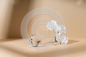 Skincare and cosmetic product showcase stand photography for online marketing include crystal ball and crystal cube stand on beige